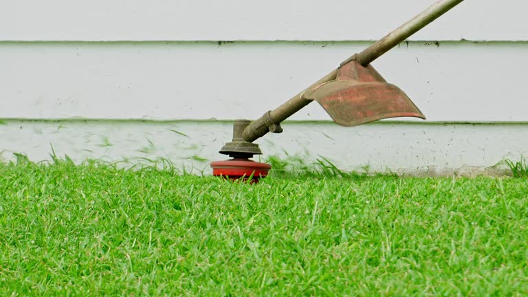 Best Lawn Grading and Leveling  in USA